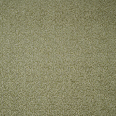 Il Brackenhi swatch